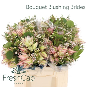 Bouquet Blushing Brides