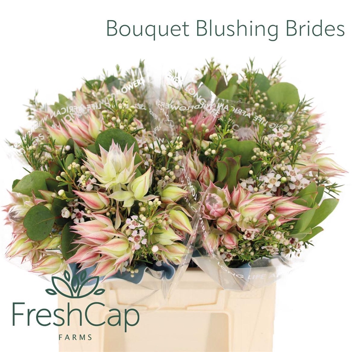 <h4>Bouquet Blushing Brides</h4>