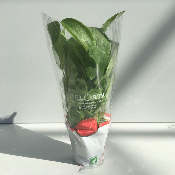 <h4>Zuring Groen P9</h4>