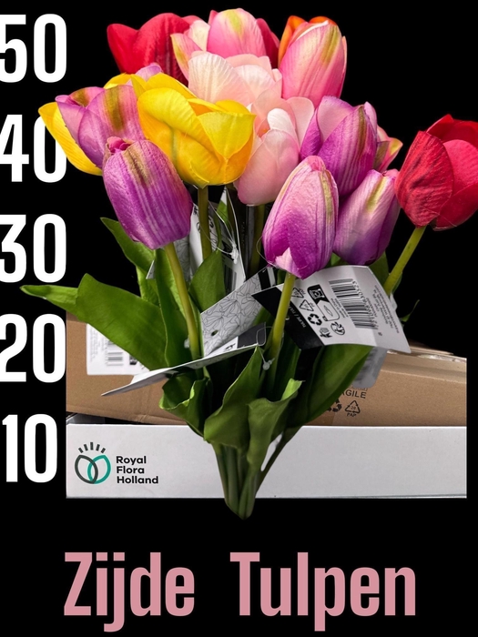 <h4>Silk Tulips Mixbox</h4>