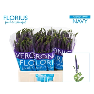 Veronica Smart Navy Florius
