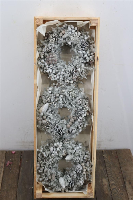 <h4>Wr Mixed Fruit Wax White 23cm</h4>