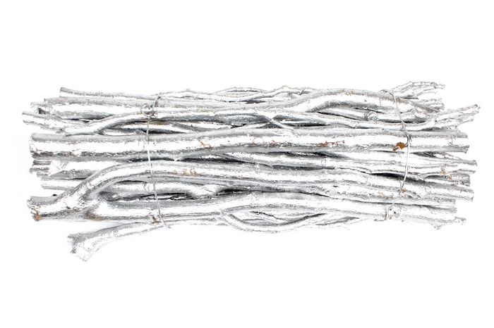 Poplar Bundle diam 15cm length 30cm Silver