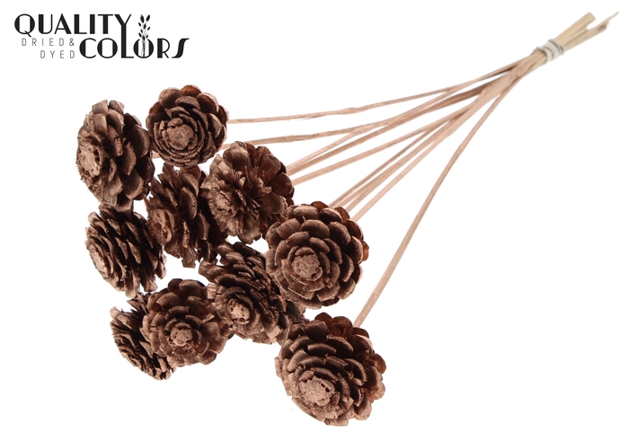 Pine cone cut 5-7cm on stem Copper