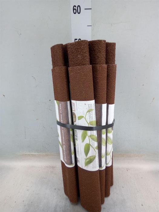 <h4>Decoratie  ..Klimstok composteer H%</h4>