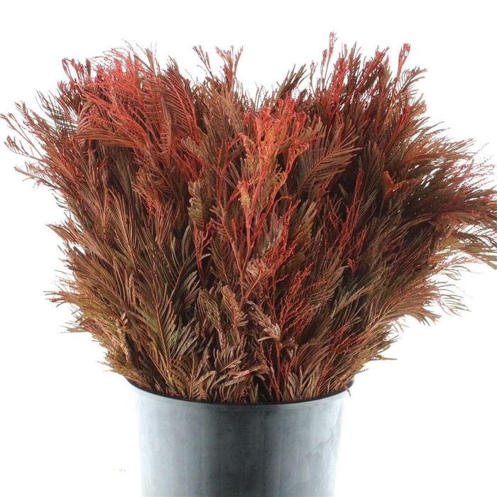 <h4>DECOGROEN OV KLB H%</h4>