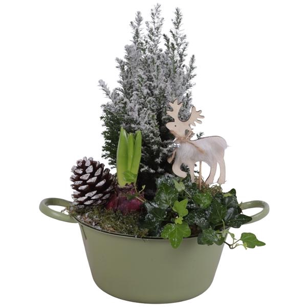 <h4>Winter Arr. Outdoor Zinc Bowl with Handles Green Ø20cm 3PP</h4>