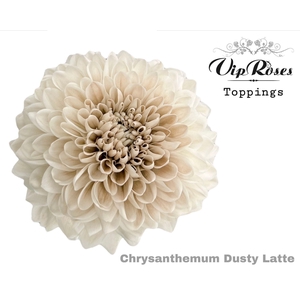 Chr g Paint Dusty Latte