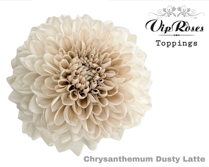 <h4>Chr g Paint Dusty Latte</h4>