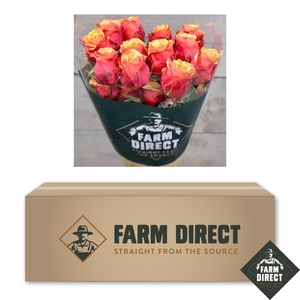 R GR CHERRY BRANDY BOX x50