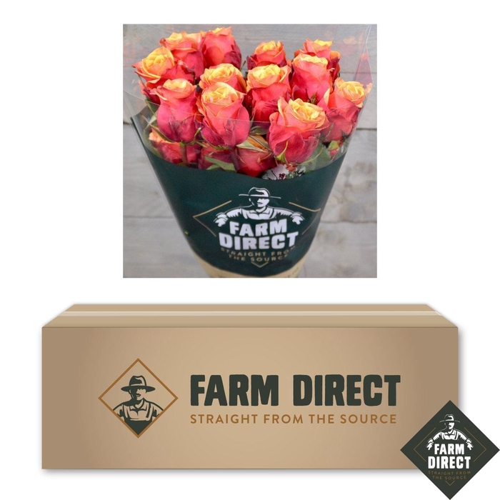 <h4>R GR CHERRY BRANDY BOX x50</h4>