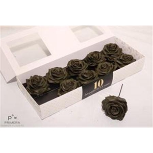 Roos Wax Zijde 505 Xxx