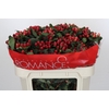 Hypericum True Romance Spray