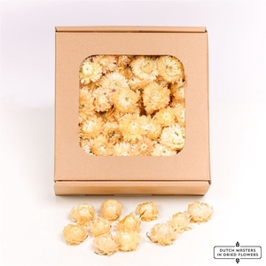 Dried Helichrysum Heads White Box