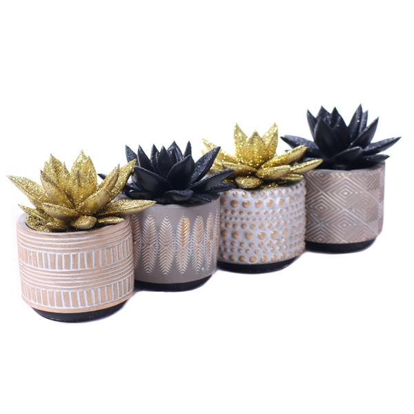 <h4>Echeveria zwart en goud geverfd 6 cm in keramieke pot</h4>