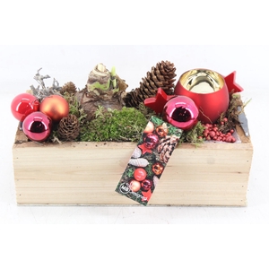 arr4 Amaryllis MB - Hout kist rechth. Red wax