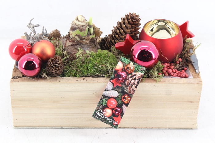 <h4>arr4 Amaryllis MB - Hout kist rechth. Red wax</h4>