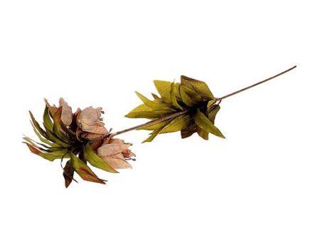 <h4>Stem Fritillaria L77</h4>