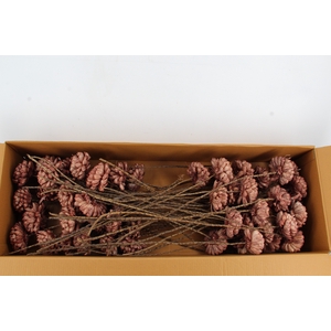 Stick Shola ArtichokeØ12 O.Pnk