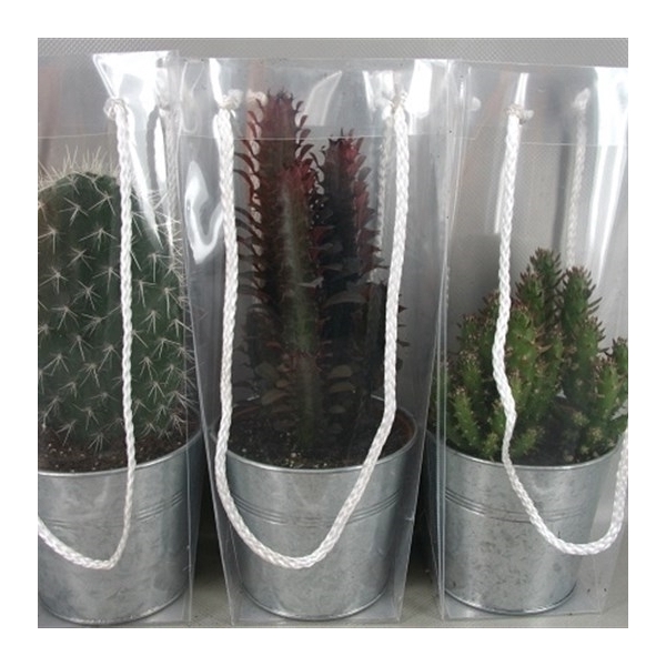 <h4>2531 Zinkenpot draagtas cac 12 cm</h4>