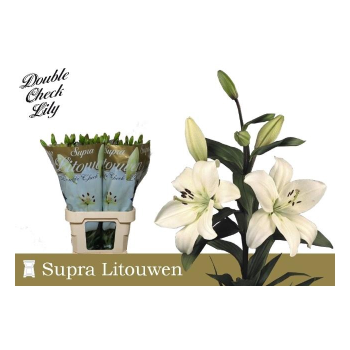 <h4>Li La Litouwen</h4>