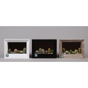 Houten schilderij met spiegel hout met Cactussen