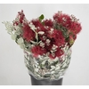 Pittosp Ralphi Flower Pbs