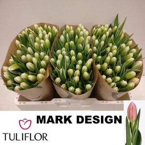 TU EN MARK DESIGN