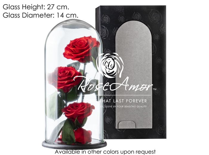 Dome Valentina Red02 Bulk