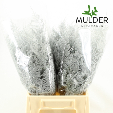 <h4>Asp Klb H% 1e Veren White</h4>