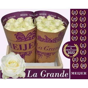 R Gr Avalanche White Meijer La Grande