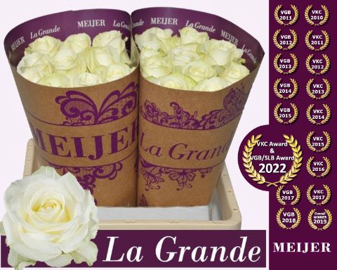 <h4>R Gr Avalanche White Meijer La Grande</h4>
