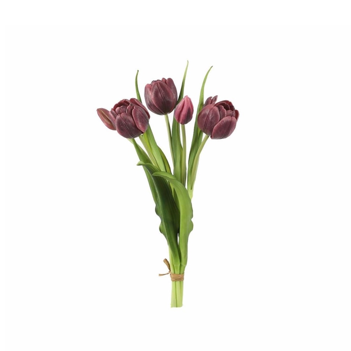 <h4>Tulipa boeket 43cm x5</h4>