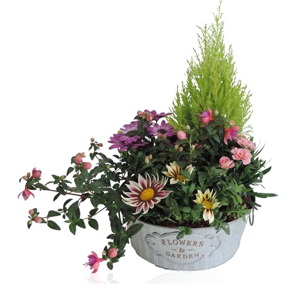 <h4>Collectie Dex Arrangement in Zinken Schaal 25 cm</h4>