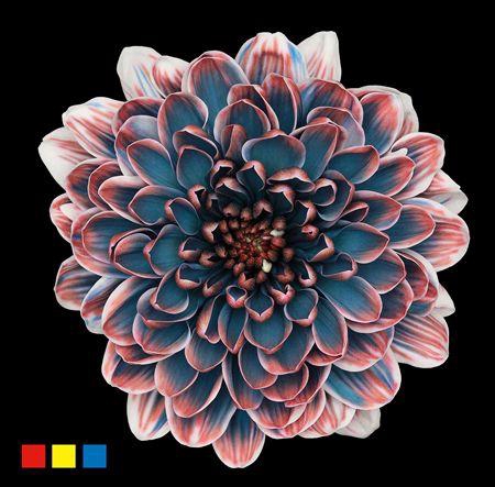 <h4>Chr T Altaj Petrol</h4>