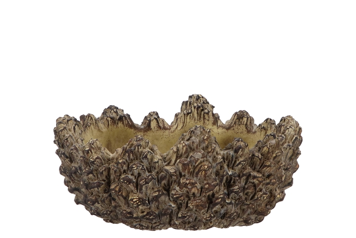 Concrete Natural Pinecone Bowl Oval Edge 22x15x10cm Nm