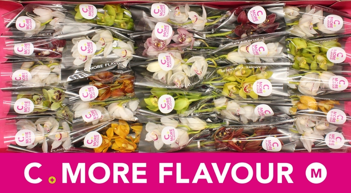 <h4>Cymbidium Mix</h4>