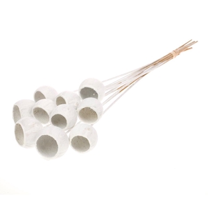 Bell Cup O/s 10pc White Misty