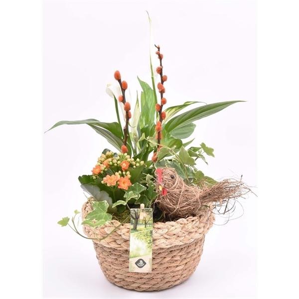 <h4>Jute mand met rand 18cm</h4>