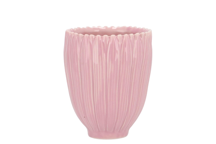 Bloom Daisy Dreamy Pink Cup 9x9x11cm Nm