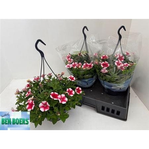Pet Stripes Hangpot