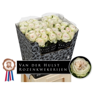 R Gr Bal Dream Summerhouse Hulst