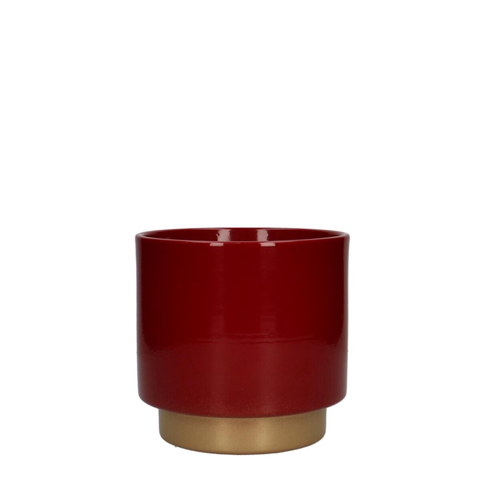 <h4>Promo Phal.pot Varedo d13*12.5cm</h4>