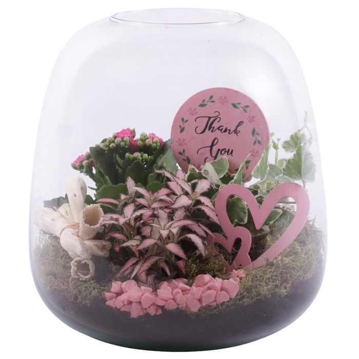 <h4>Mothersday Arr. Indoor Glass Vase Terrarium Round Ø23cm 3PP</h4>