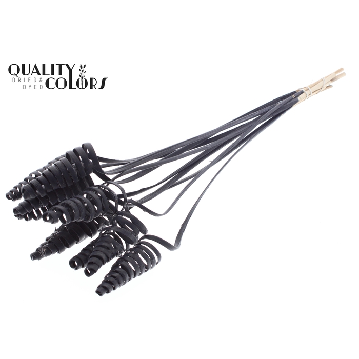 <h4>Cane Cone on stem Covered Black</h4>