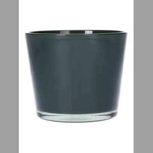 DF02-440515200 - Pot Nashville2 d11.5xh9.5 rainforest