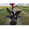 Canna gemengd