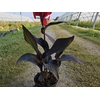 Canna gemengd