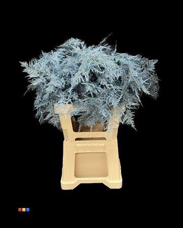 <h4>Asp Lang Metallic Blue</h4>