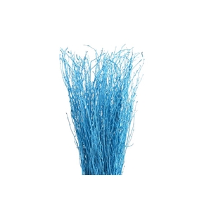Berk Klb Blue Light
